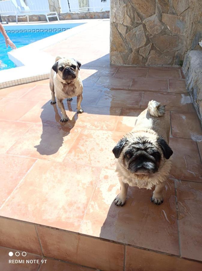 Apartment Costa Blanca Mutxamel Ngoại thất bức ảnh